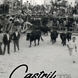 Cartel Oficial Feria Castril 2024.jpg