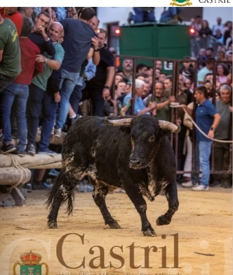 Feria, Fiestas Y Encierros de Castril 2026