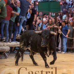 cartel feria castril 2026
